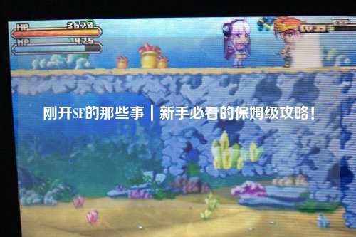 刚开SF的那些事｜新手必看的保姆级攻略！
