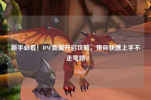 新手必看!DNF新服开启攻略,带你快速上手不走弯路