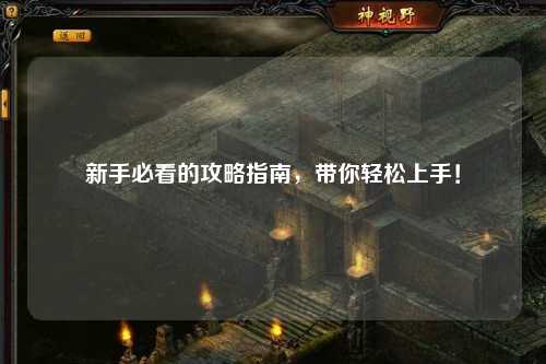 新手必看的攻略指南，带你轻松上手！