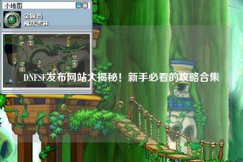 DNFSF发布网站大揭秘！新手必看的攻略合集