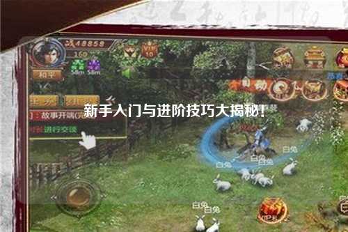 新手入门与进阶技巧大揭秘！