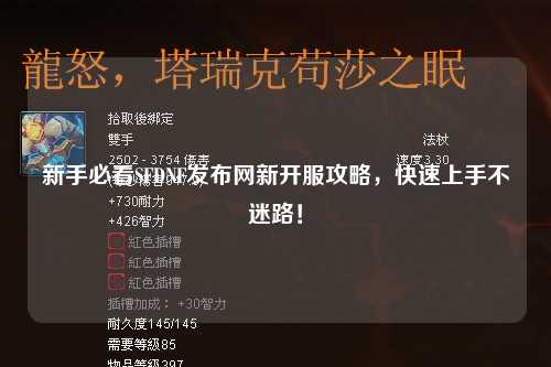 新手必看SFDNF发布网新开服攻略，快速上手不迷路！