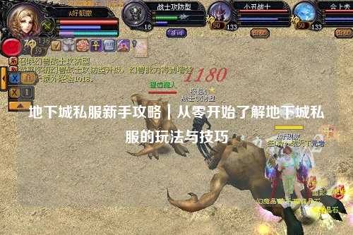地下城私服新手攻略｜从零开始了解地下城私服的玩法与技巧