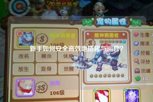 新手如何安全高效地搭建与运营?