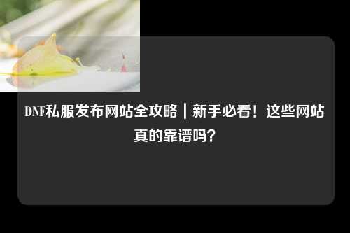 DNF私服发布网站全攻略｜新手必看！这些网站真的靠谱吗？